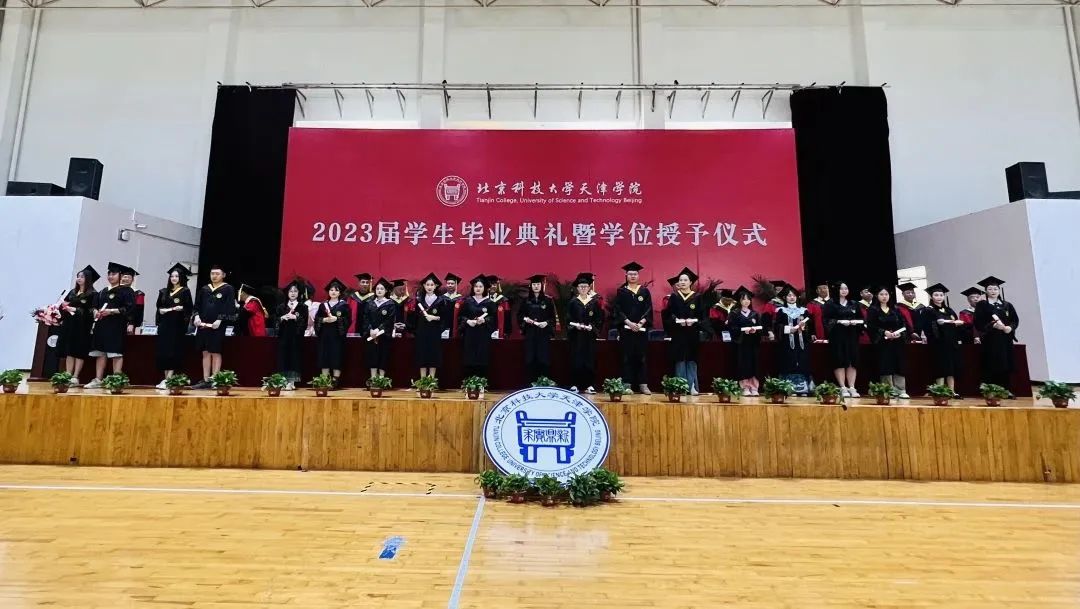 信用网博彩