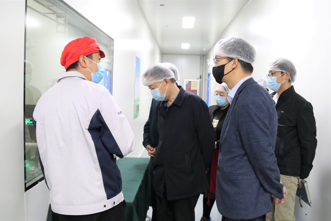 信用网博彩