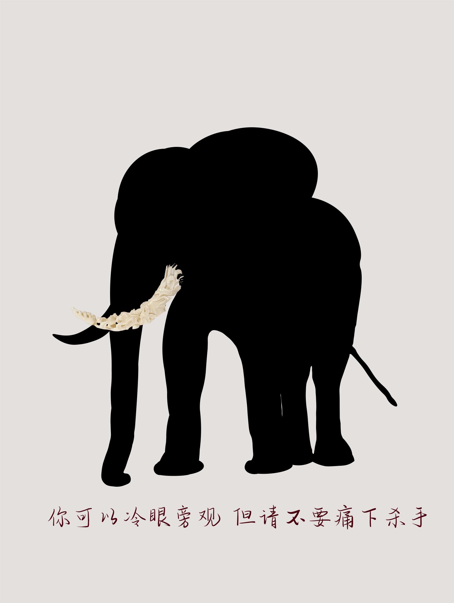 信用网博彩