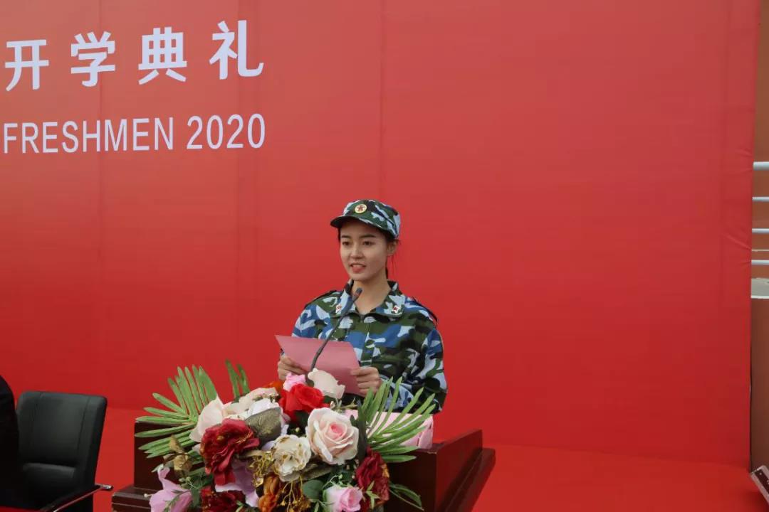 信用网博彩