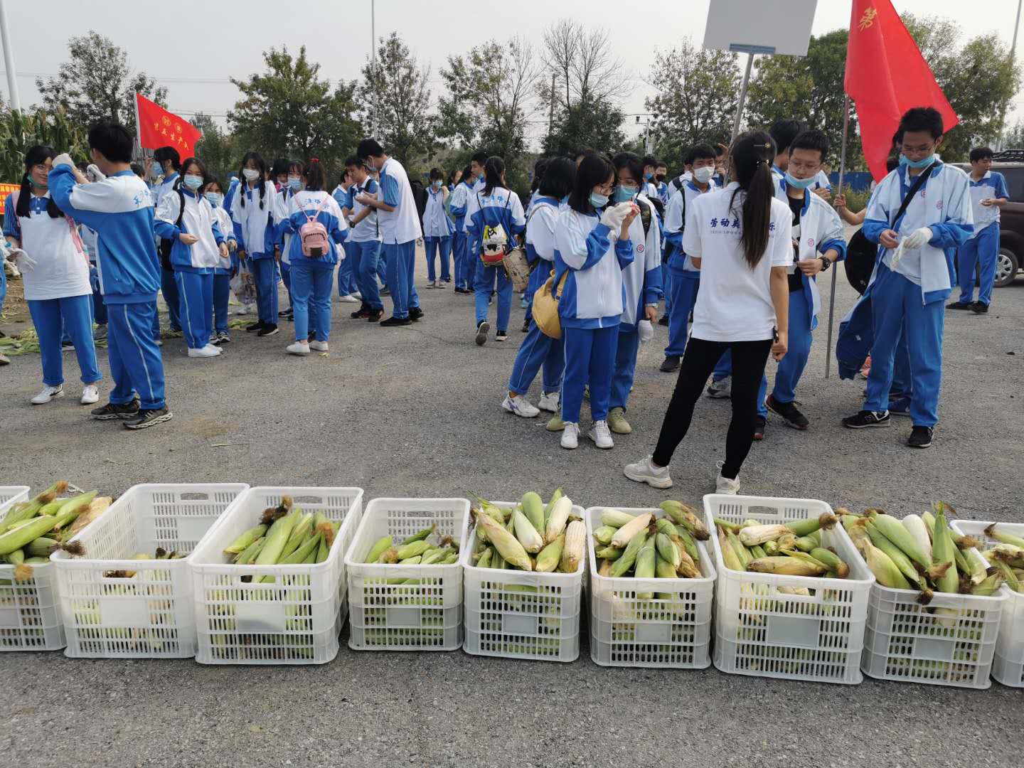 信用网博彩