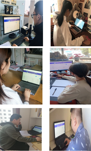 信用网博彩