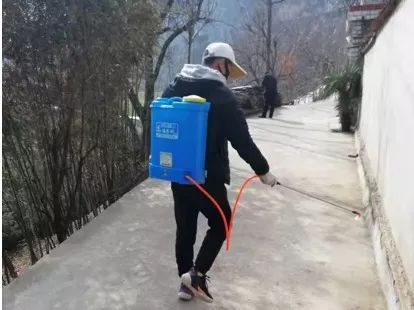 信用网博彩