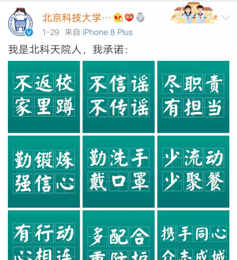 信用网博彩