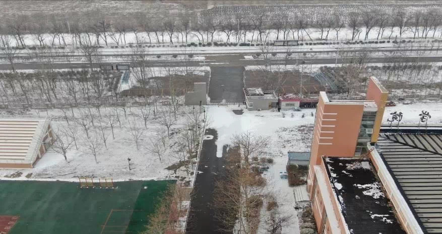 信用网博彩