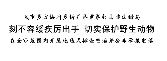 信用网博彩