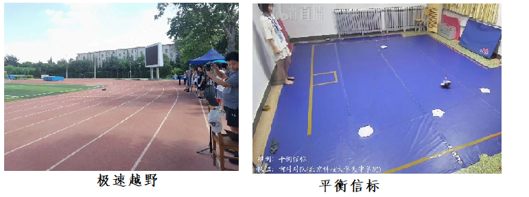 信用网博彩