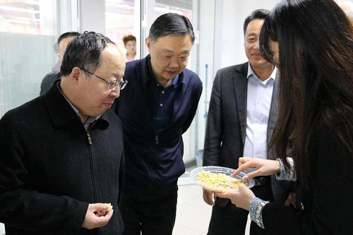 信用网博彩