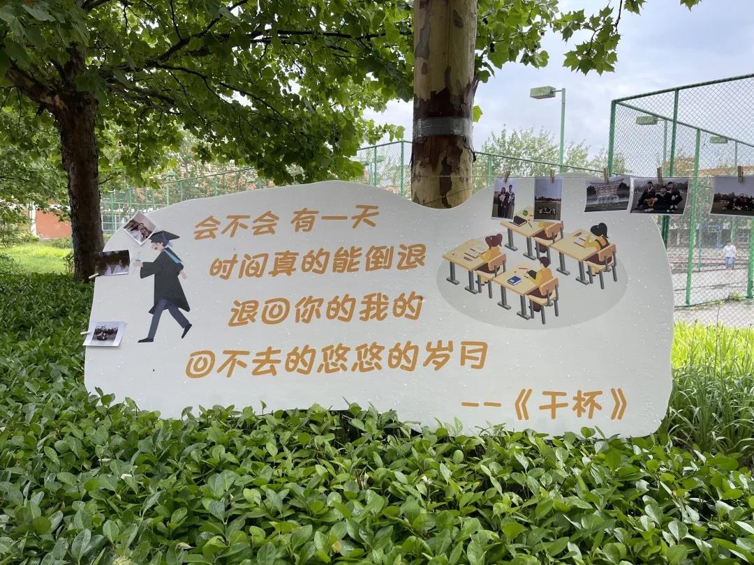 信用网博彩