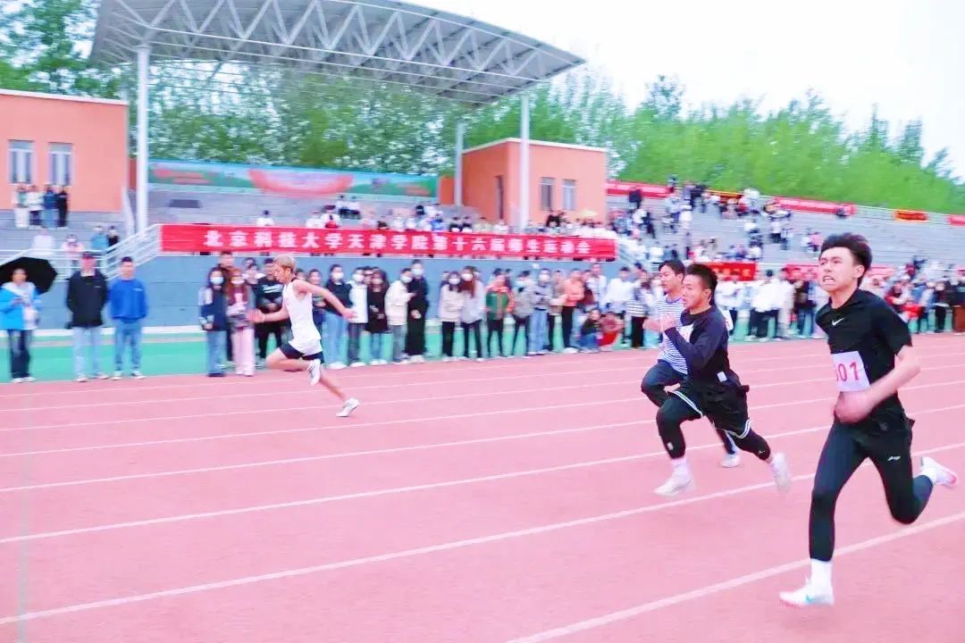 信用网博彩