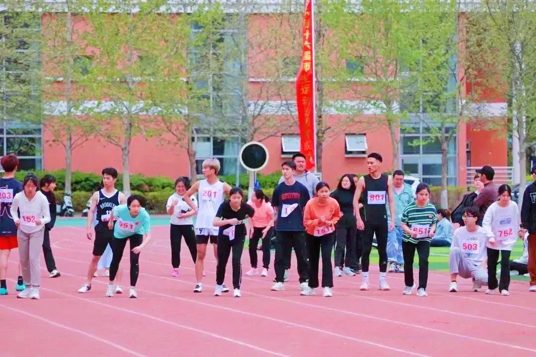 信用网博彩