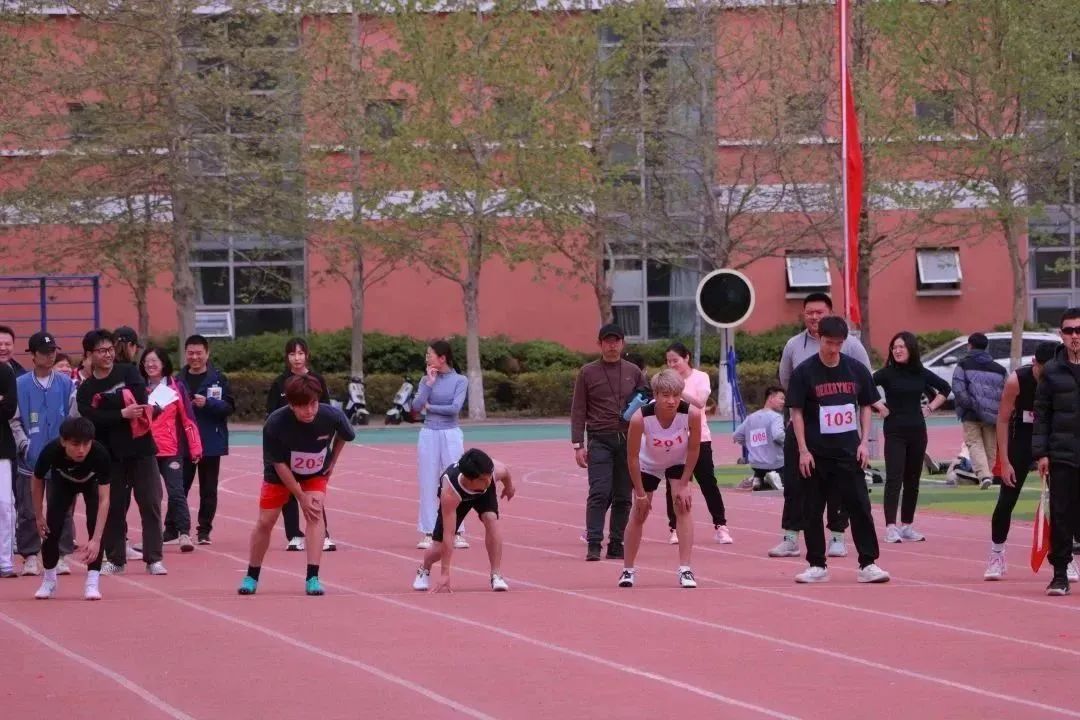 信用网博彩